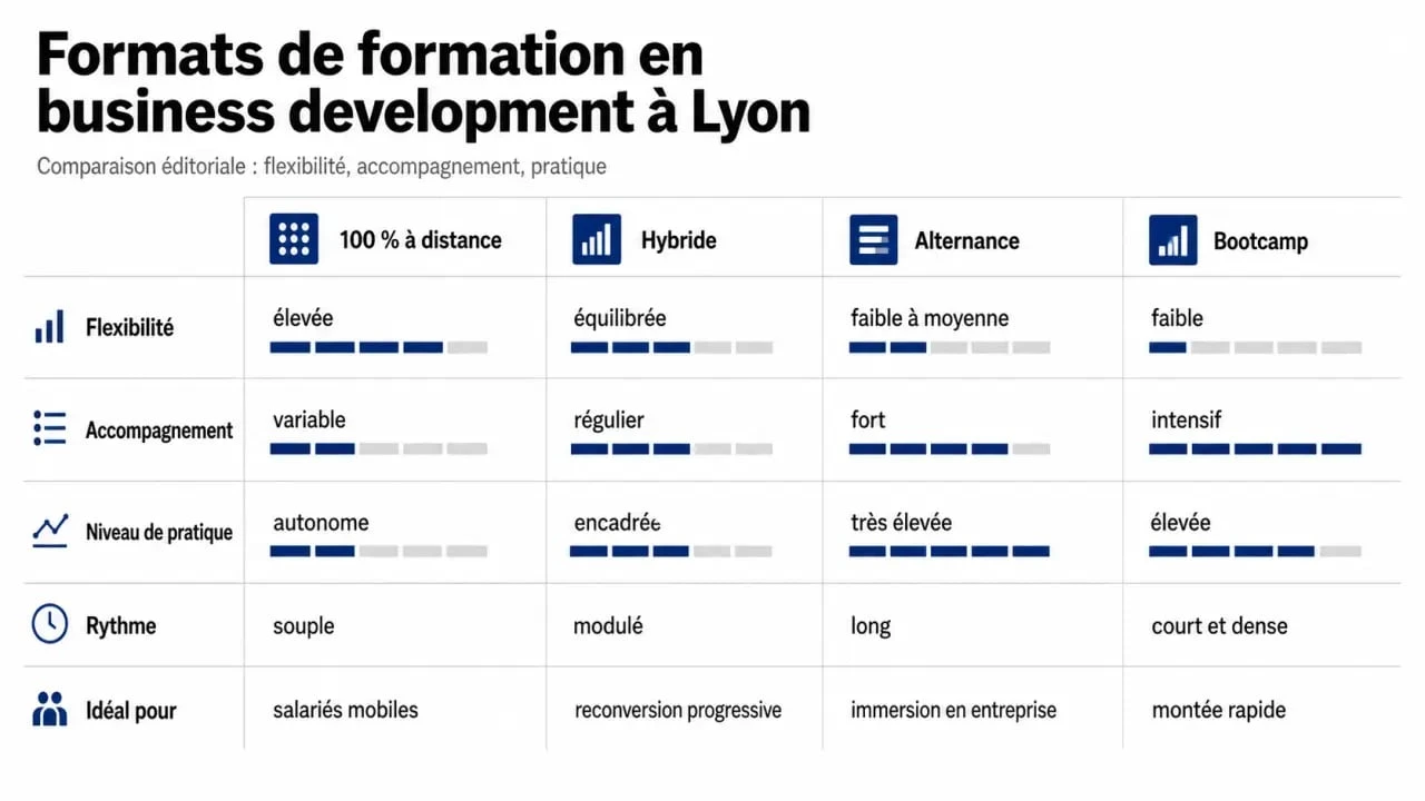 E learning business developper lyon : tableau comparatif des formats de formation à Lyon