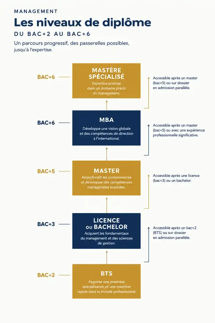 Schéma des niveaux de diplôme d'une formation management à Rouen, du bac+2 au bac+6